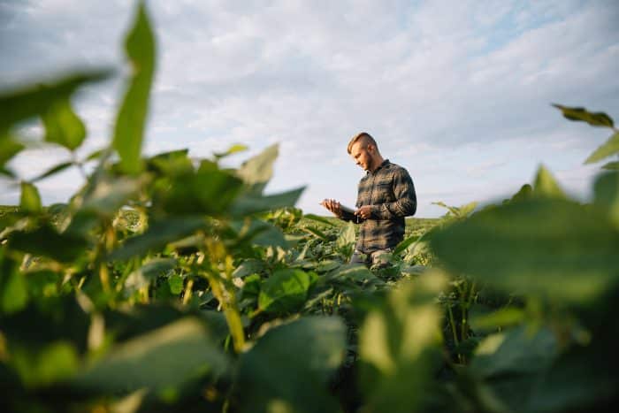 Innovazione e digitalizzazione in agricoltura