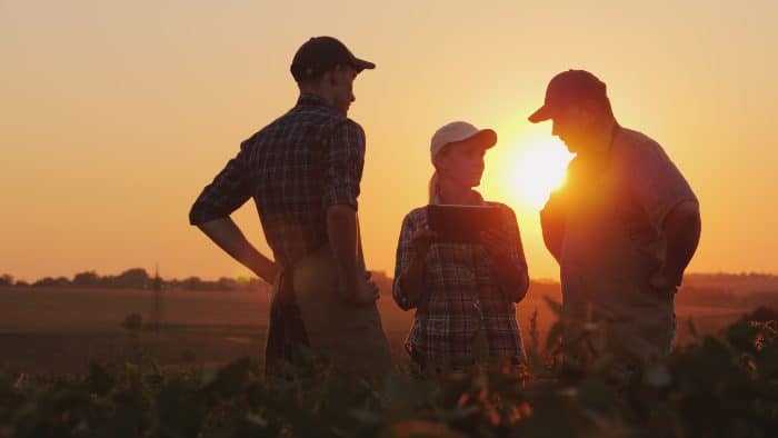 Come funziona un consorzio agrario