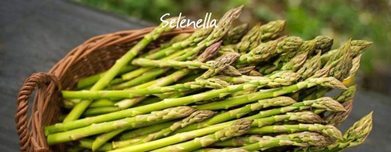 Frutta e verdura di stagione a giugno - Il Blog di Selenella