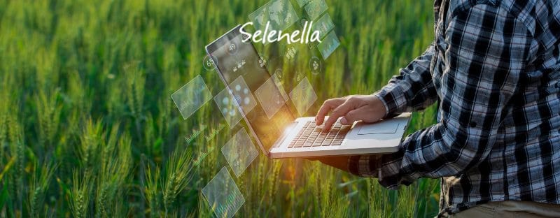 Agricoltura 4.0: investimenti ed esempi - Il Blog di Selenella