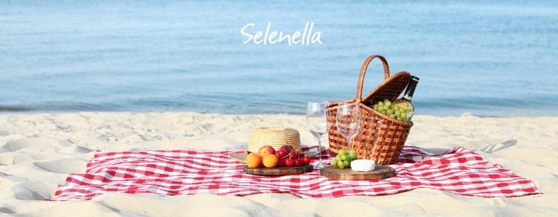 10 ricette da portare in spiaggia - Il Blog di Selenella