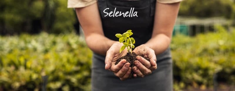 Sostenibilità: dalla filiera ai consumi - Il Blog di Selenella