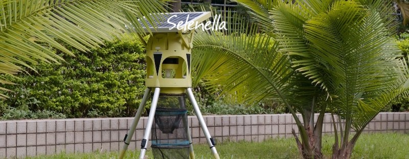 Trappole elettroniche sessuali in agricoltura: cosa sono e a cosa servono - Il Blog di Selenella