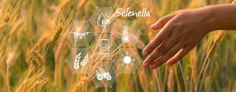 La trasformazione digitale in agricoltura - Il Blog di Selenella