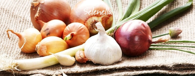 Cipolla, scalogno, porri e aglio: differenze e usi  in cucina - Il Blog di Selenella