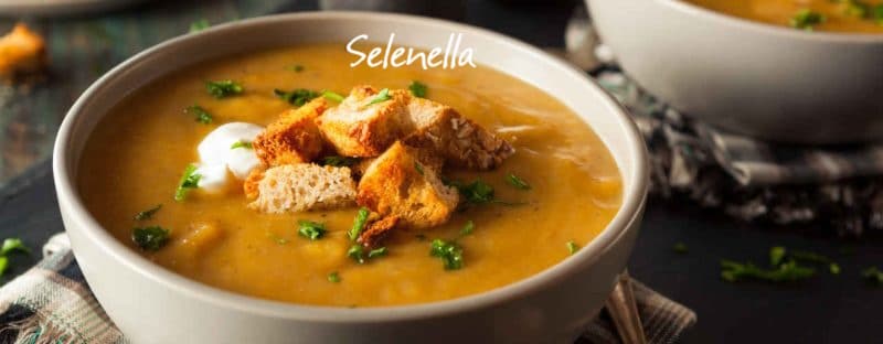 Zuppe autunnali: 5 ricette da provare - Il Blog di Selenella
