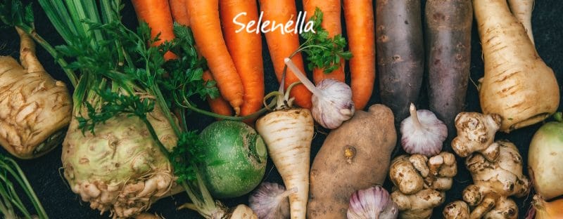 Bulbi, tuberi, radici, rizomi: che differenze ci sono? - Il Blog di Selenella