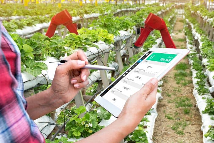 Applicazioni intelligenza artificiale in agricoltura