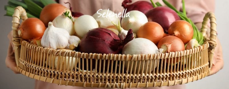 Come conservare le cipolle: tutti i segreti Come conservare le cipolle: tutti i segreti - Il Blog di Selenella