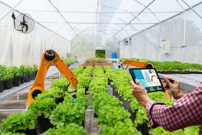 Intelligenza artificiale agricoltura, vantaggi
