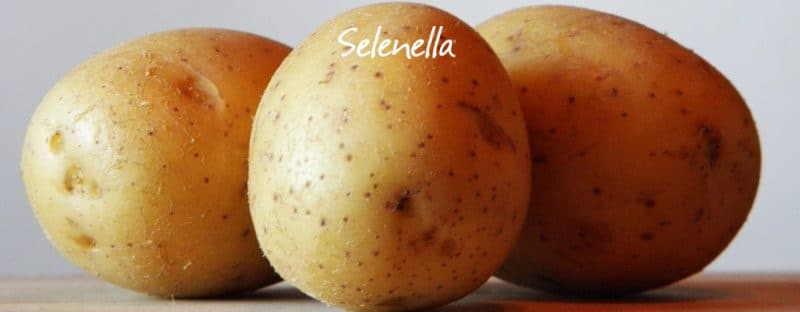 Patate: quante volte mangiarle a settimana Patate: quante volte mangiarle a settimana - Il Blog di Selenella