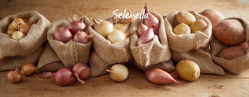 Cipolle vicino alle patate: ecco perché non va fatto - Il Blog di Selenella