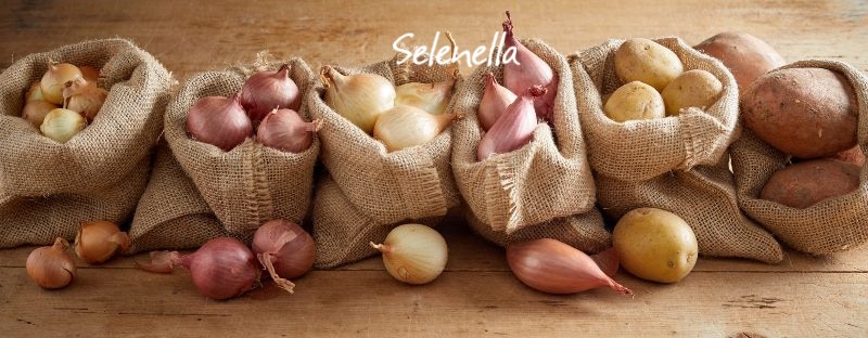 Cipolle vicino alle patate: ecco perché non va fatto - Il Blog di Selenella