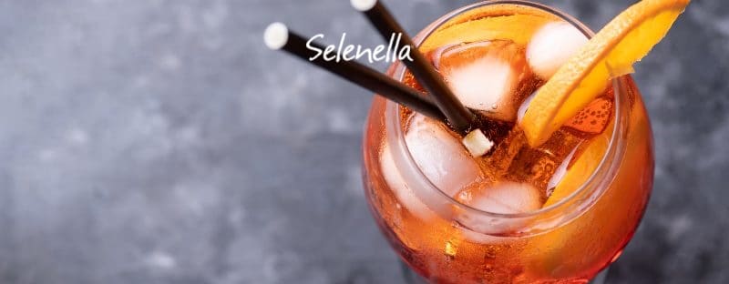 Le bevande alcoliche fanno ingrassare? - Il Blog di Selenella