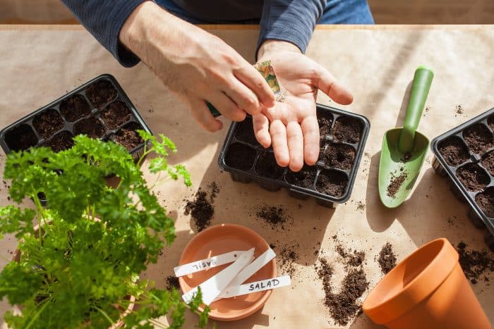 I lavori da fare nell'orto a marzo