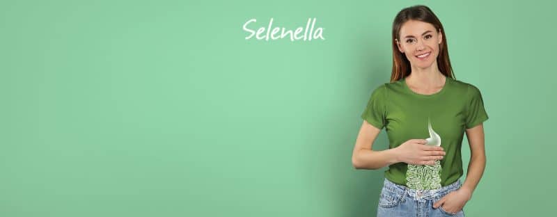 Microbiota intestinale: cos’è e perché è importante Microbiota intestinale: cos’è e perché è importante - Il Blog di Selenella