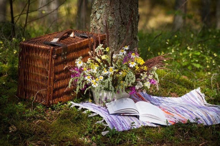 idee picnic primavera