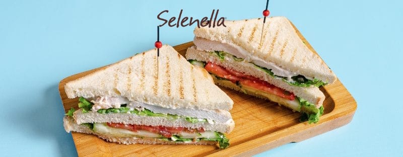 Sandwich: 5 idee da provare - Il Blog di Selenella