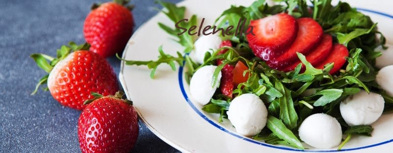 Insalate estive: 5 ricette fresche per la spiaggia - Il Blog di Selenella