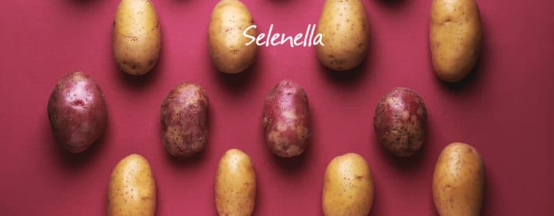Modi di dire sulle patate: cosa significano? Modi di dire sulle patate: cosa significano? - Il Blog di Selenella