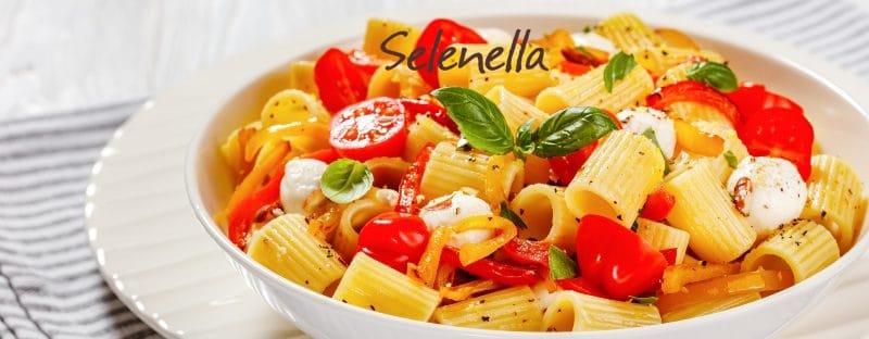 Pasta fredda: 5 ricette perfette per la spiaggia Pasta fredda: 5 ricette perfette per la spiaggia - Il Blog di Selenella