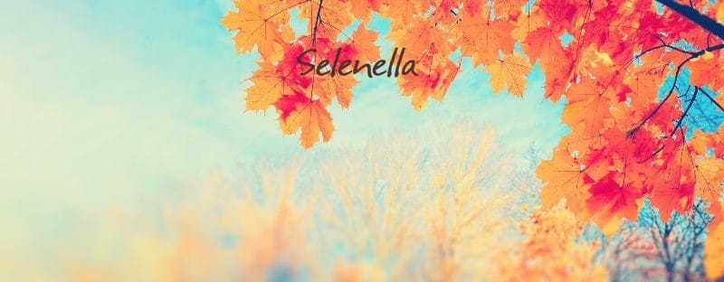 Come affrontare al meglio il cambio di stagione Come affrontare al meglio il cambio di stagione - Il Blog di Selenella