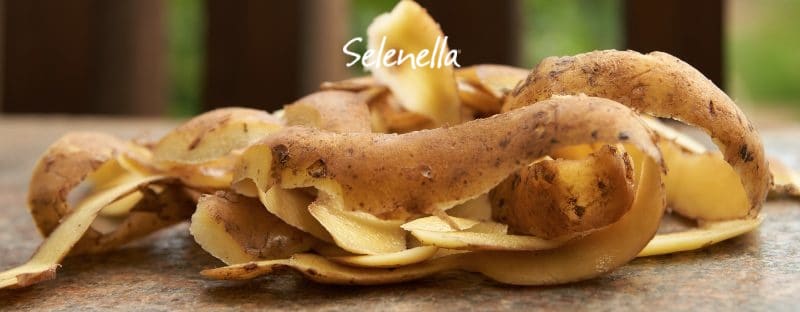Cucina zero sprechi: come evitare o riutilizzare gli scarti - Il Blog di Selenella