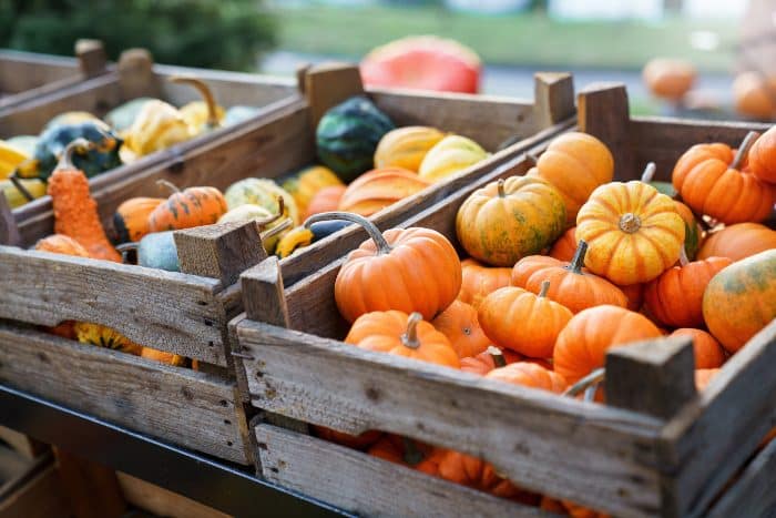 Spesa verdura ottobre