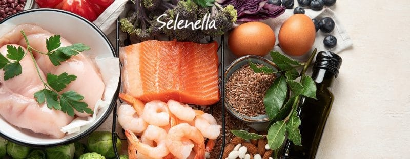 Dieta proteica: cos’è, benefici e svantaggi Dieta proteica: cos’è, benefici e svantaggi - Il Blog di Selenella