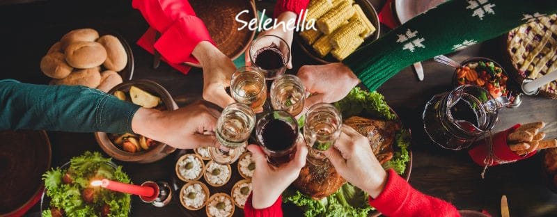 Ricette di Natale vegetariane: idee per il menu delle feste Ricette di Natale vegetariane: idee per il menu delle feste - Il Blog di Selenella