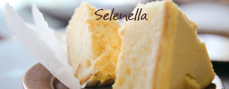 Potato Cheesecake: la ricetta di Carlton Mayers ispirata a New York Potato Cheesecake: la ricetta di Carlton Mayers ispirata a New York - Il Blog di Selenella