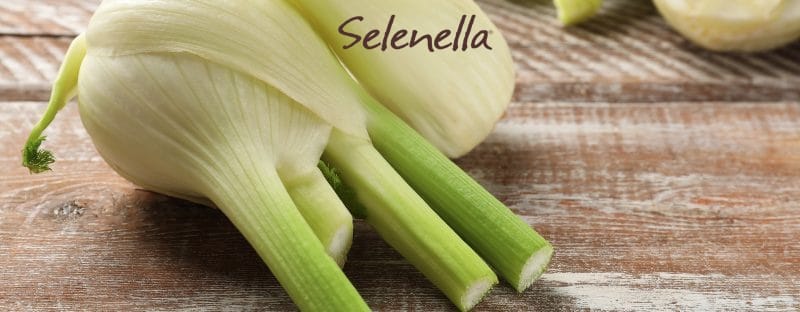 Ricette di stagione: come cucinare i finocchi - Il Blog di Selenella