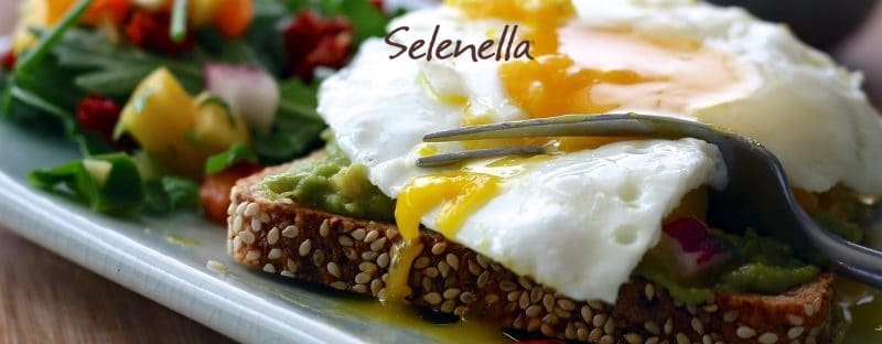 10 ricette per ritrovare il peso forma 10 ricette per ritrovare il peso forma - Il Blog di Selenella