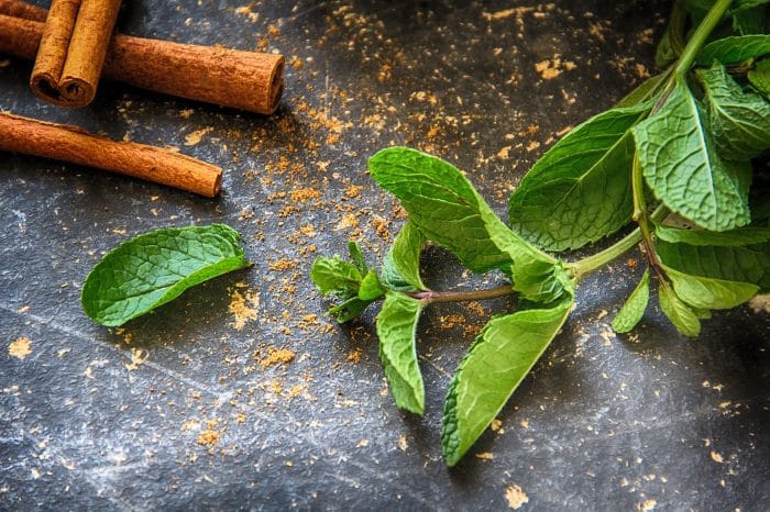 Menta in cucina