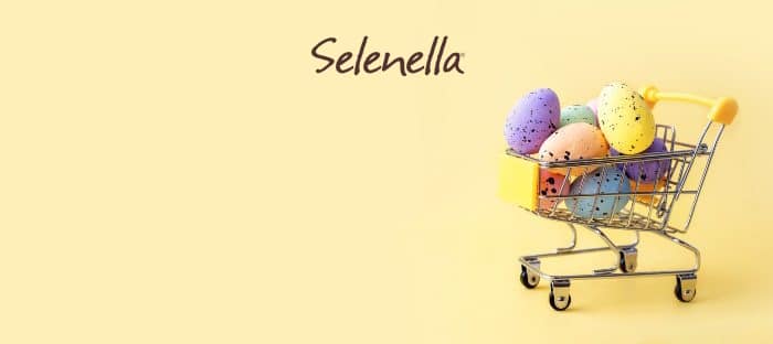 La spesa di aprile: cosa mettere nel carrello - Il Blog di Selenella