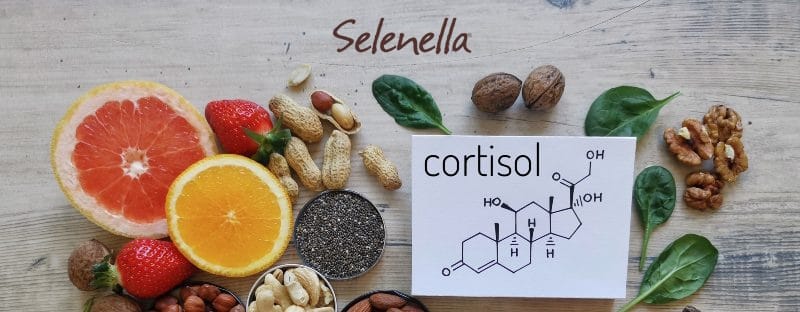 Dieta e stress: alimenti che riducono il cortisolo Dieta e stress: alimenti che riducono il cortisolo - Il Blog di Selenella