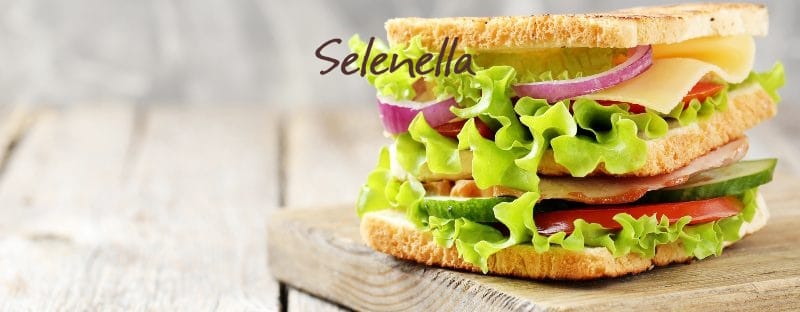 Sandwich con cipolle: abbinamenti originali per panini gustosi Sandwich con cipolle: abbinamenti originali per panini gustosi - Il Blog di Selenella