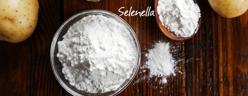 Amido resistente, cos’è e come agisce - Il Blog di Selenella