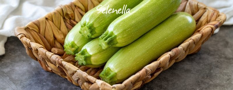 Ricette di stagione: come cucinare le zucchine Ricette di stagione: come cucinare le zucchine - Il Blog di Selenella