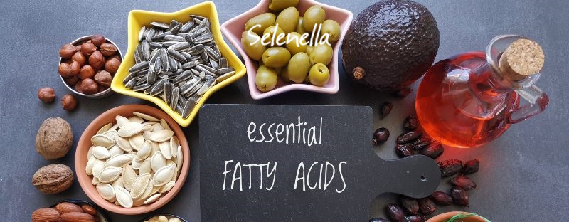 Come bilanciare Omega-3 e Omega-6 nella dieta estiva Come bilanciare Omega-3 e Omega-6 nella dieta estiva - Il Blog di Selenella