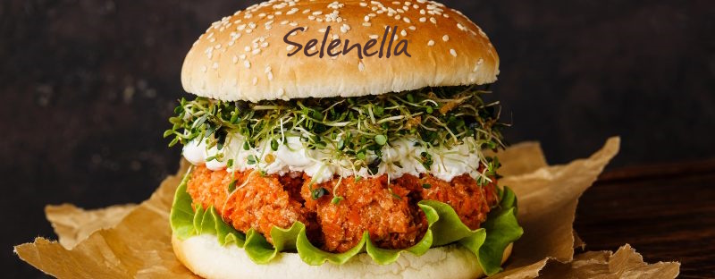 Burger di carote: ricette creative da provare - Il Blog di Selenella