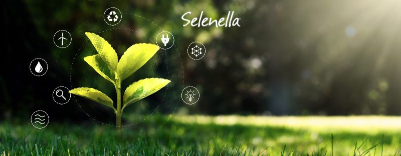 Sostenibilità e innovazione: il futuro dell’agroalimentare italiano Sostenibilità e innovazione: il futuro dell’agroalimentare italiano - Il Blog di Selenella