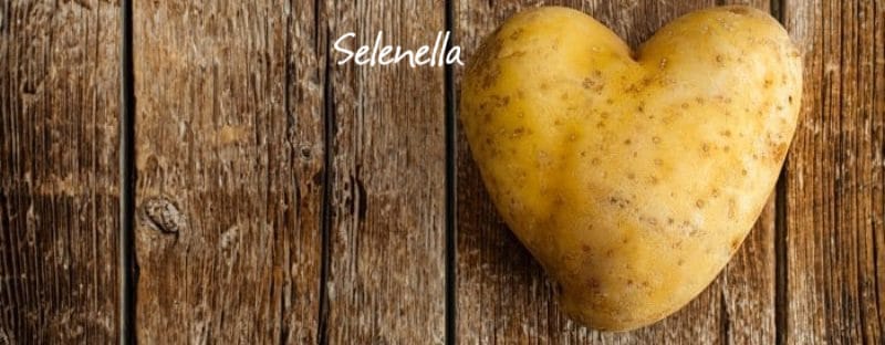 Cuore in salute: come usare patate, cipolle e altre verdure a tavola - Il Blog di Selenella