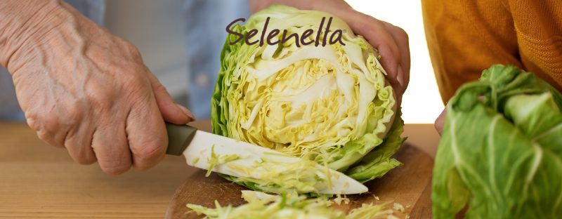 Ricette di stagione: come cucinare la verza - Il Blog di Selenella