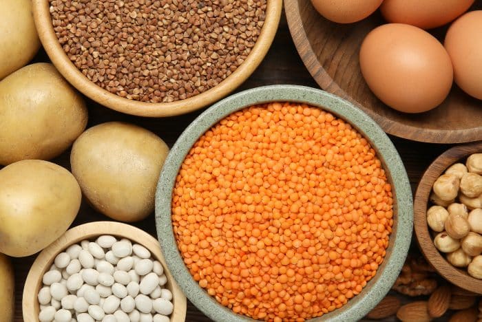 Alimenti ricchi di ferro