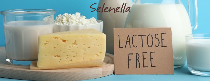Come si fa il latte senza lattosio? - Il Blog di Selenella