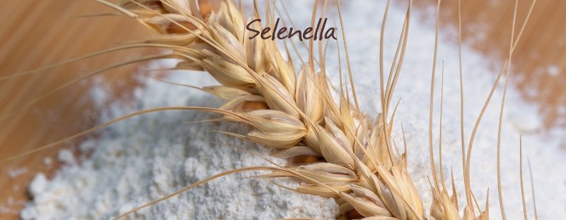 Amidi modificati e amido retrogradato, cosa sono? - Il Blog di Selenella