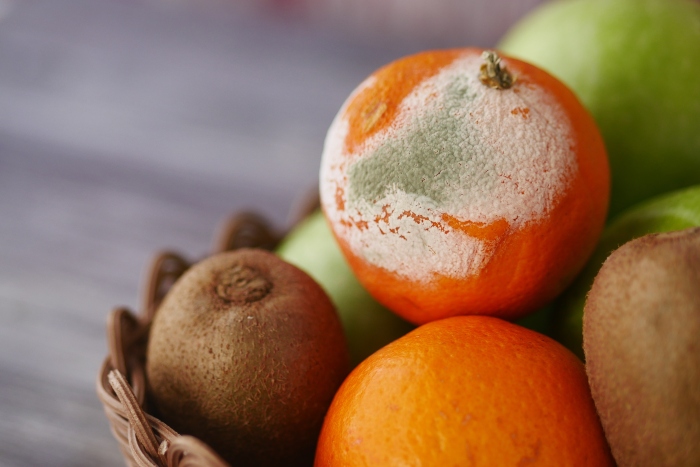 Perché il cibo si deteriora