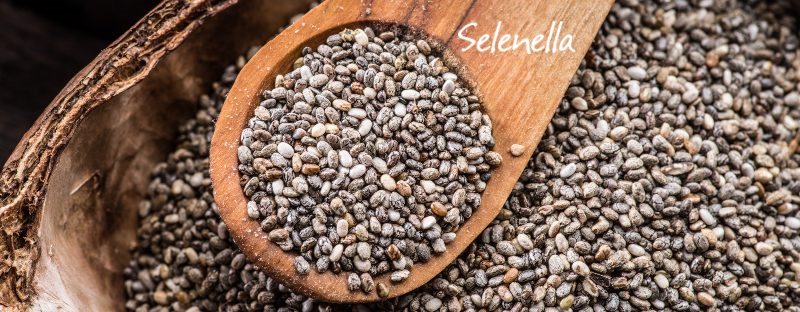 Cosa sono i Novel food? - Il Blog di Selenella