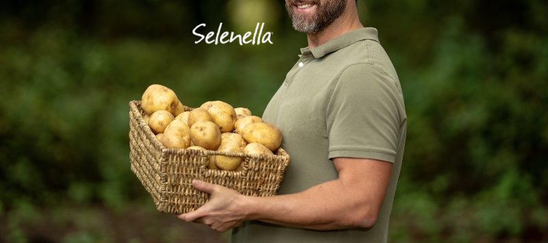 Patata: una coltura moderna tra produttività e sostenibilità Patata: una coltura moderna tra produttività e sostenibilità - Il Blog di Selenella